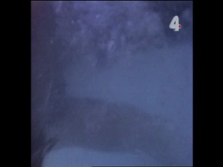 Tarzan and the Mating Season