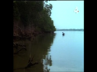 Tarzan's Dangerous Journey