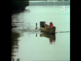 Tarzan's Dangerous Journey