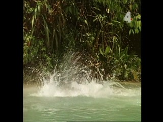 Tarzan and the Orphan