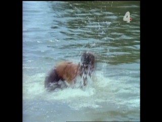 Tarzan and the Deadly Delusions