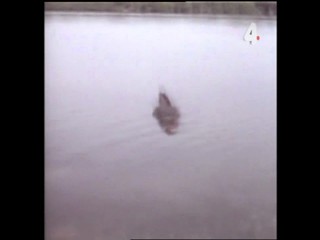 Tarzan and the Deadly Delusions