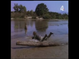 Tarzan and the Fear of Blindness