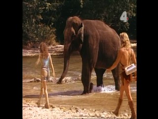 Tarzan - The Golden Egg