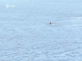 Fernsehgarten 2012-06-17