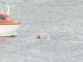 Fernsehgarten 2012-06-17