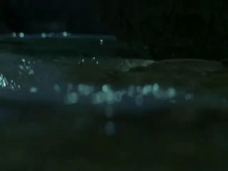 Der Augenblick Der Begierde