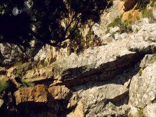 Johanna Und Der Buschpilot