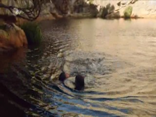 Johanna Und Der Buschpilot