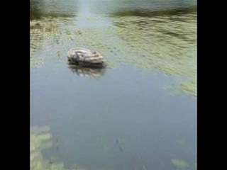 Das Erbe Der Guldenburgs - Das Schnelle Geld