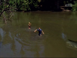 Mega Python vs. Gatoroid