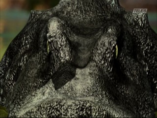 Mega Python vs. Gatoroid