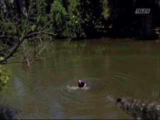 Mega Python vs. Gatoroid