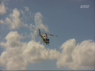 Mega Python vs. Gatoroid