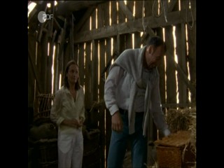 Rosamunde Pilcher - Die Rose Von Kerrymore