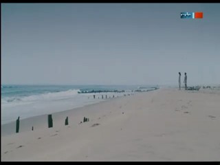 An Imaginary Portrait of Diane Arbus