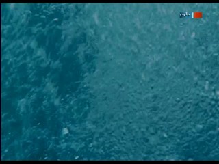 An Imaginary Portrait of Diane Arbus