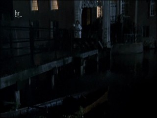 Das unbezaehmbare Herz