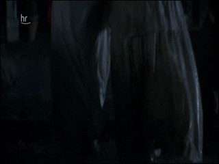 Das unbezaehmbare Herz