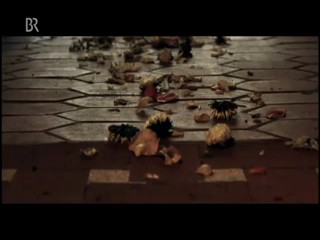 Ihr Brief zur Hochzeit