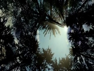 Blutsschwestern â€“ jung, magisch, tÃ¶dlich