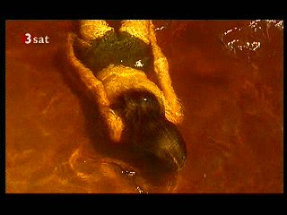 Eclipse (German movie)