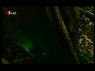 Eclipse (German movie)