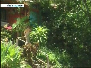 Late night tv - Germany