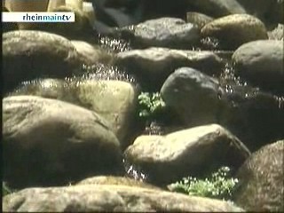 Late night tv - Germany