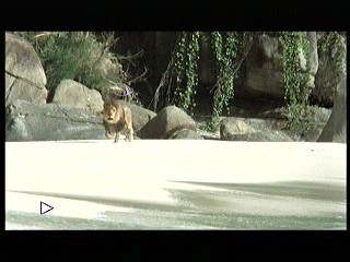 Tarzan the Ape Man (1981) scene# 2/9