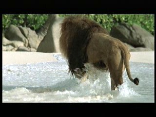 Tarzan the Ape Man (1981) scene# 3/9