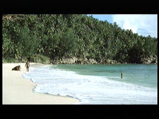 Tarzan the Ape Man (1981) scene# 3/9