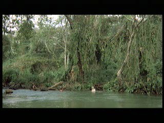 Tarzan the Ape Man (1981) scene# 4/9