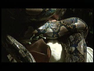 Tarzan the Ape Man (1981) scene# 8/9