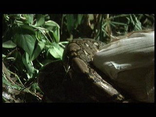 Tarzan the Ape Man (1981) scene# 8/9