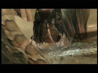 Tarzan the Ape Man (1981) scene# 8/9
