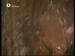 Playboy Centerfold Video - Pamela Anderson