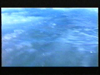 Mes nuits sont plus belles ... - clip#2