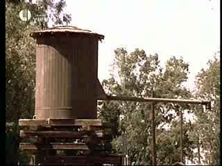 Playboy´s Wet & Wild