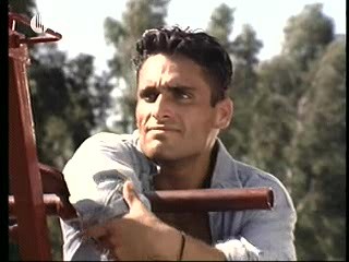 Playboy´s Wet & Wild