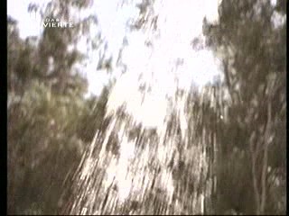 Playboy´s Wet & Wild