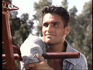 Playboy´s Wet & Wild