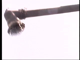 Playboy´s Wet & Wild