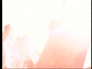 Playboy´s Wet & Wild