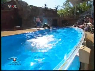 Voxtours, Seaworld Florida