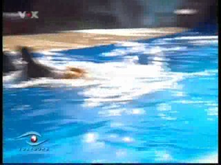 Voxtours, Seaworld Florida