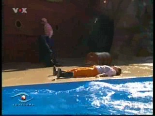 Voxtours, Seaworld Florida