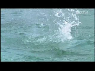 Die Pirateninsel - Familie ueber Bord (Island of Pirates)