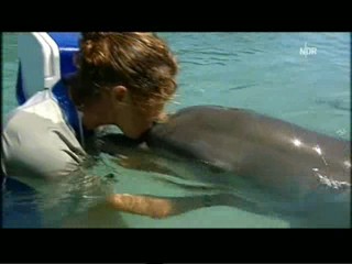 Playing with dolphins