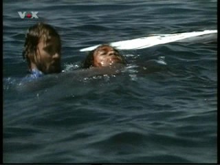 Jaws 4- The Revenge